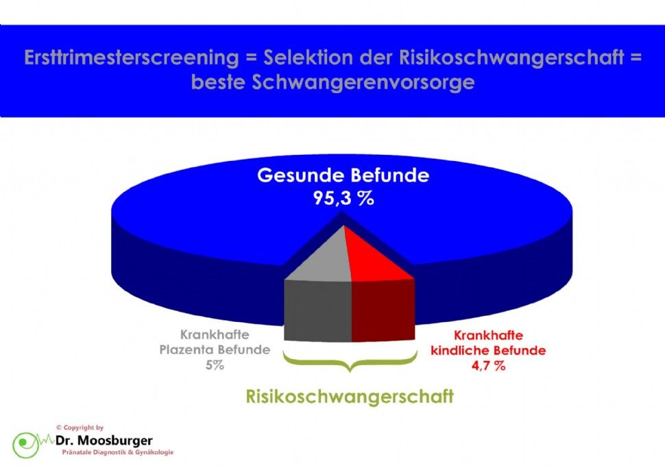 Ersttrimester Screening Grafik